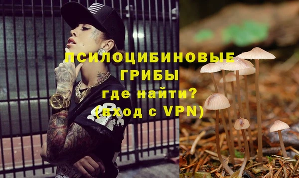 мет Алексин