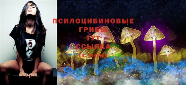 СК Абдулино