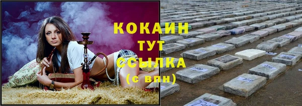 spice Алзамай