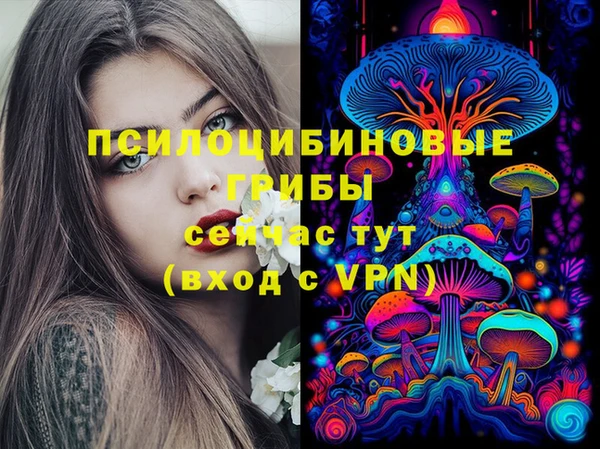 ГАЛЛЮЦИНОГЕННЫЕ ГРИБЫ Алексеевка