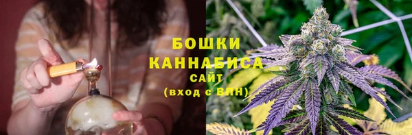 тгк Пестово