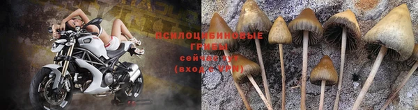 мет Алексин